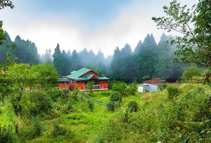 Chatakpur: A Serene Hamlet in the Heart of the Himalayas