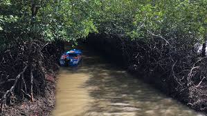 Baratang Island: Exploring Limestone Caves and Mud Volcanoes in the Andamans