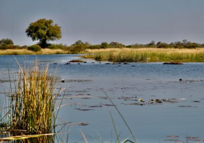 Botswana