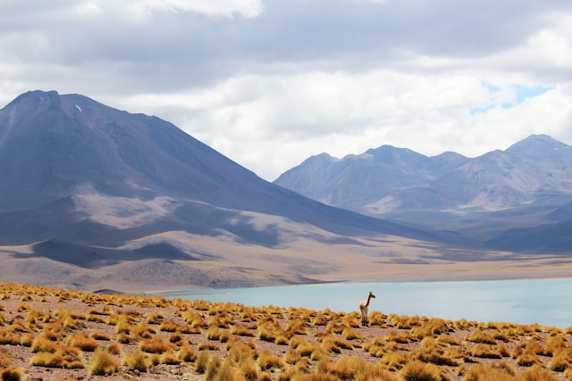 Chile: A Land of Extremes and Wonders