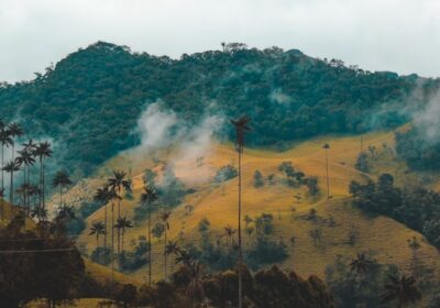 Colombia