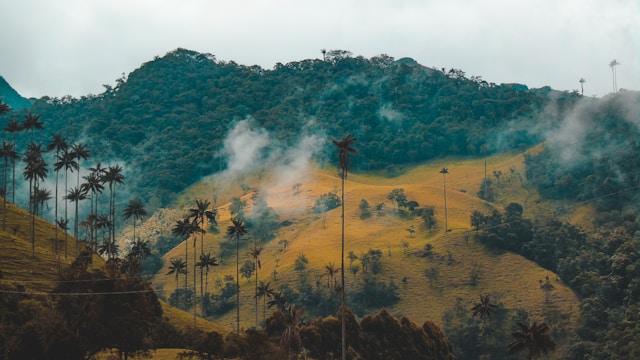 Colombia: A Vibrant Tapestry of Culture and Natural Beauty