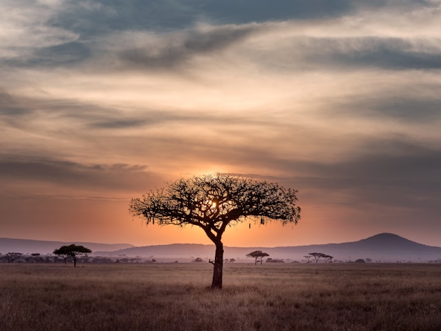 Tanzania: A Journey Through Wild Landscapes and Rich Culture