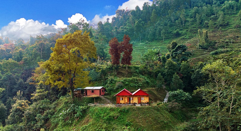 Discovering Kashone: A Serene Village in the Himalayas