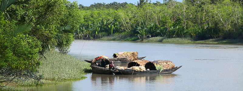 Gosaba: The Gateway to the Sundarbans