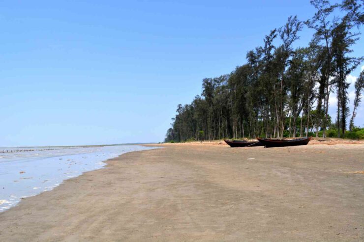 Junput: A Hidden Coastal Gem of West Bengal