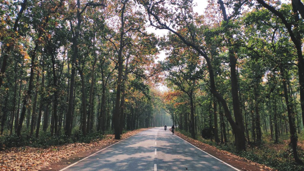 Hatibari: A Serene Escape in the Heart of Nature