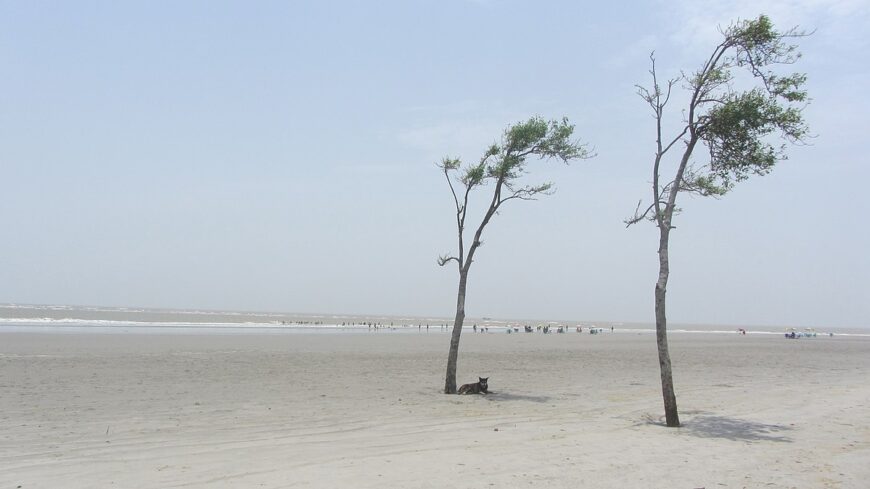 Namkhana: The Coastal Gem and Gateway to the Sundarbans