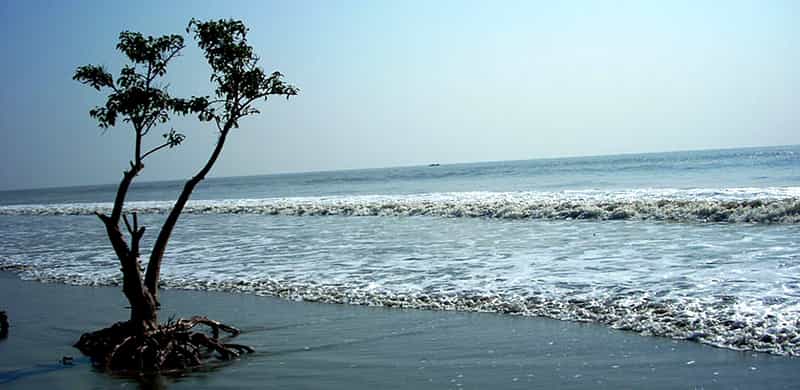 Frasergunj: The Coastal Charm of West Bengal