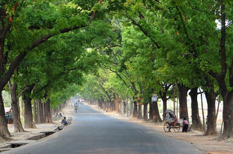 Bara Kumira: A Peaceful Retreat in Rural Bengal